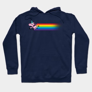 How Rainbows are Made Hoodie